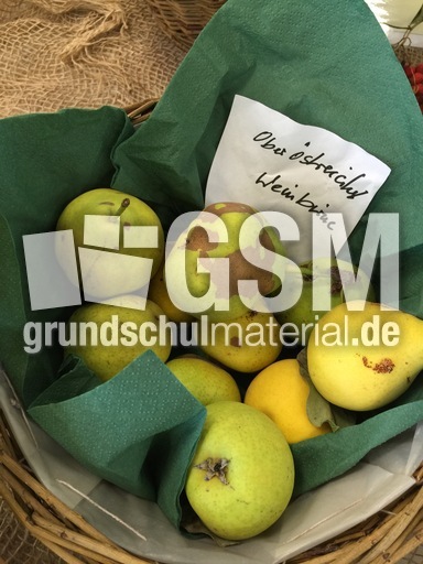 Österreichische Weinbirne.jpg